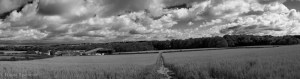 NSpencer_20100721_field_Panorama1B&W