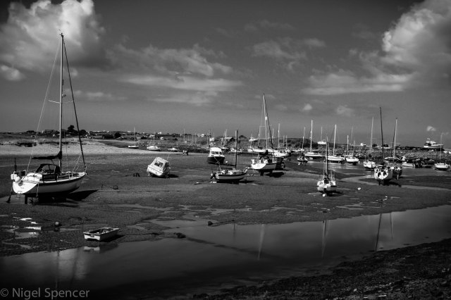 NSpencer_20080614_IMG_0834