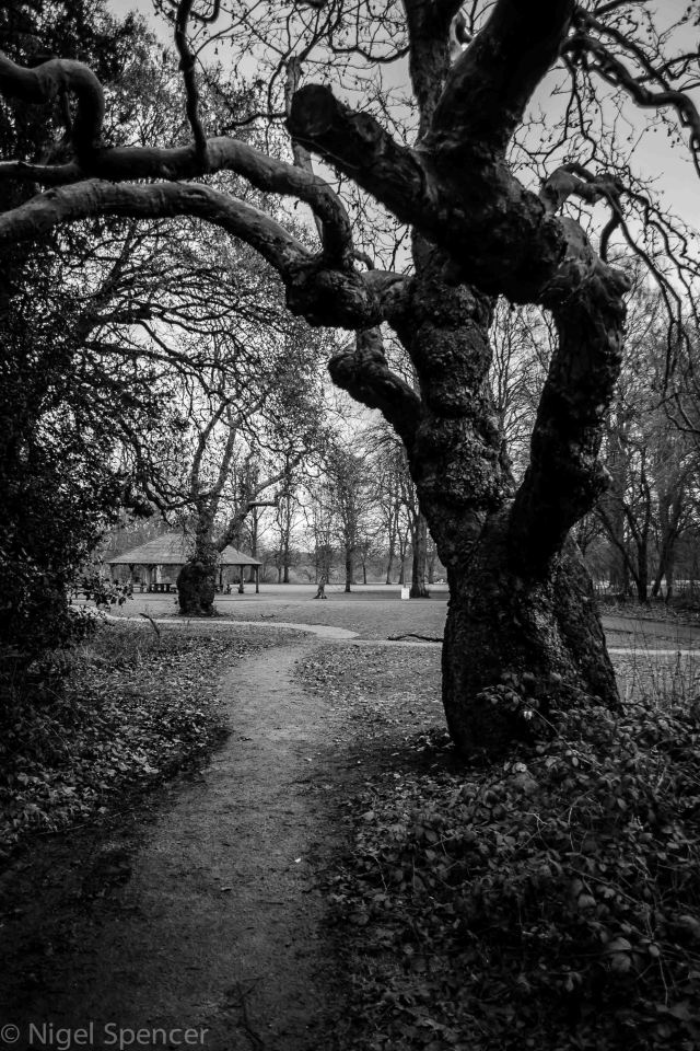 NSpencer_20150101_IMG_6056