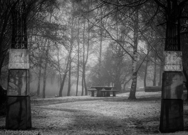 NSpencer_20150118_IMG_6079