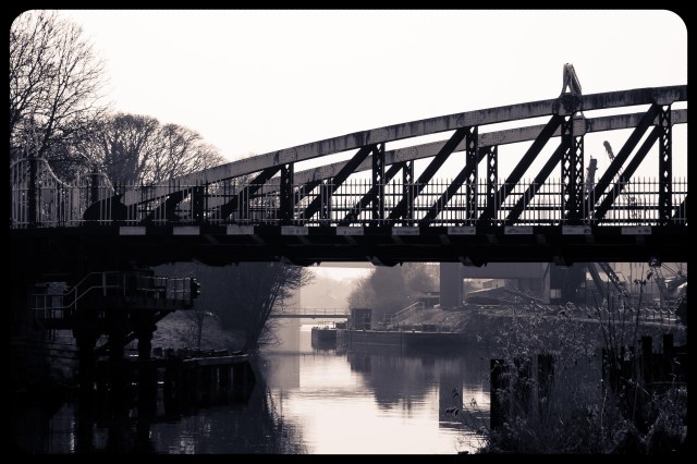 NSpencer_20120324_IMG_2953