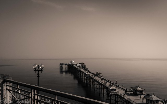 NSpencer_20150409_IMG_6172