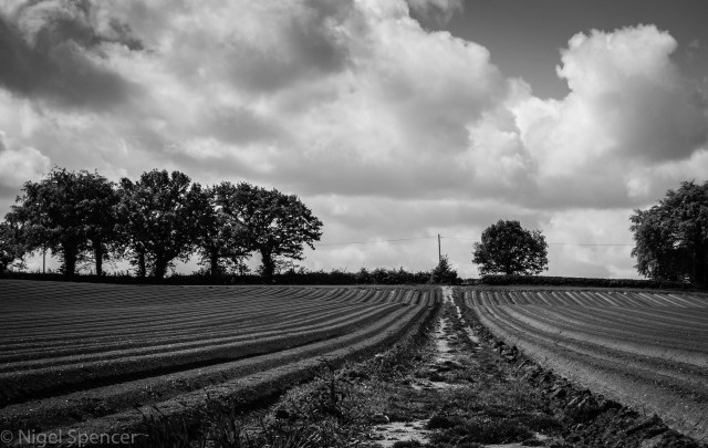 NSpencer_20150516_IMG_6551