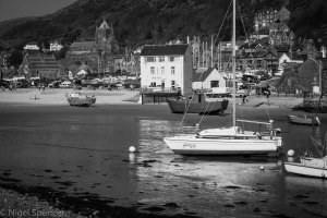 NSpencer_20120325_IMG_2995